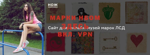 прущие грибы Аркадак